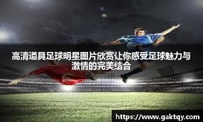 长沙勇胜90比71大胜山东蜜獾 重回胜利轨道